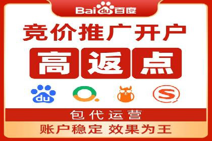 精准投放，高效转化——SEM竞价优化案例集